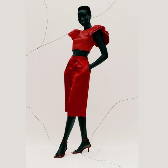 ZARA Crop Top with Ruffled Sleeves - Picture 8 of 11